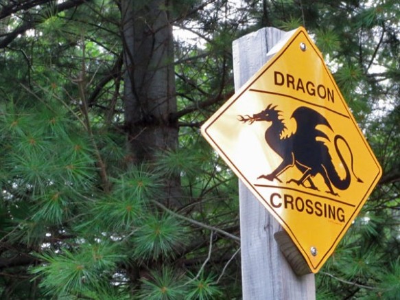 Dragon Crossing